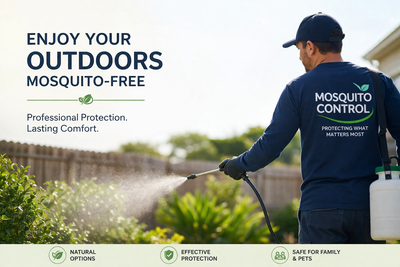 Mosquito Spraying - Best Value!, View more