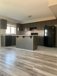 Renovated 3 Bedroom Home Available June 1st