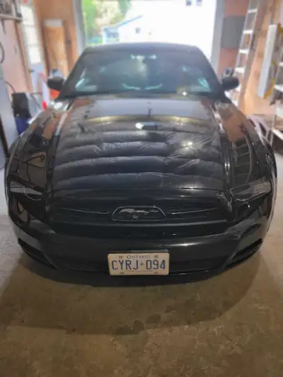 I'm selling my Ford mustang, It has only 96000km never driven in winter but it come with winter tire...