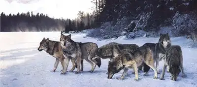 Brent Townsend Lake Crossing Wolves UNFRAMED!, View more