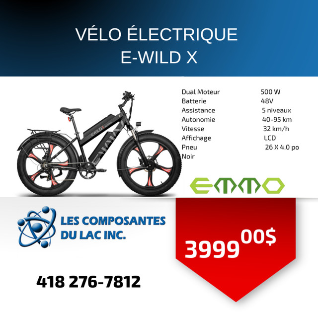 Vélo électrique E-WILD X dans Vélos électriques  à Lac-Saint-Jean
