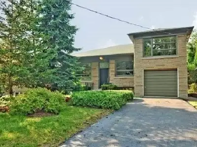 Detached House For Lease - North York -3 Bdrms + Lrg Basement Walking distance to Subway and minutes...