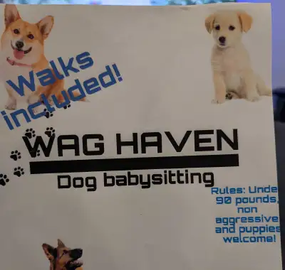 Dog Overnight Care Available, View more