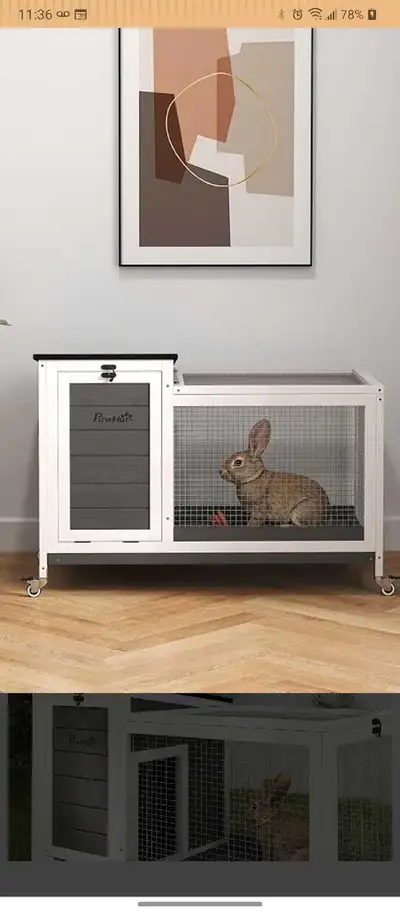 bunny hut, View more