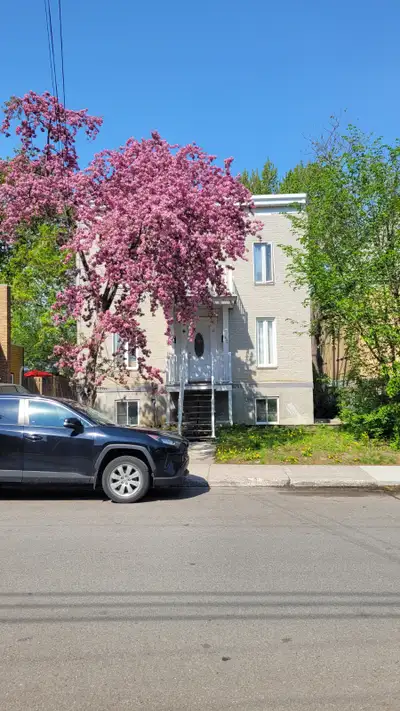 Haut d'un duplex dans un quartiers très calme et paisible proche de la rivière des prairies. Apparte...