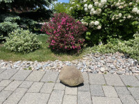 Accent Stone for Landscaping and garden.