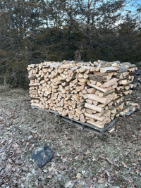 Ash firewood 