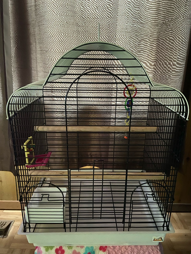 Bird Cage With Accessories  in Other in Yarmouth - Image 2