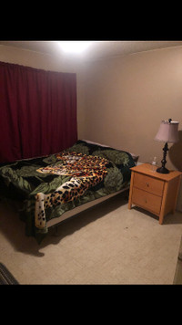 Downtown room for rent..