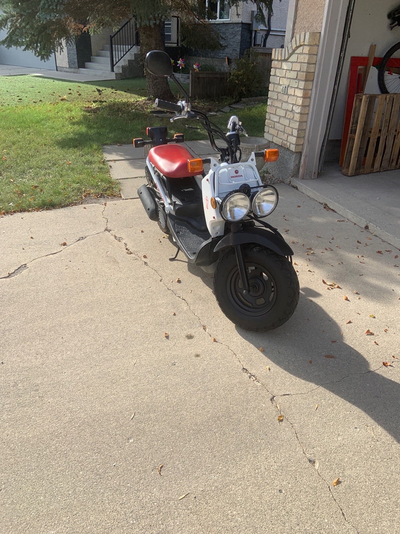 Honda Ruckus 2017 Scooters & Pocket Bikes Winnipeg Kijiji