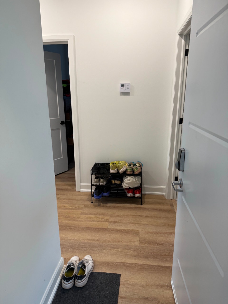 Brand New 1 Bedroom Apartment - Old Ottawa East 2