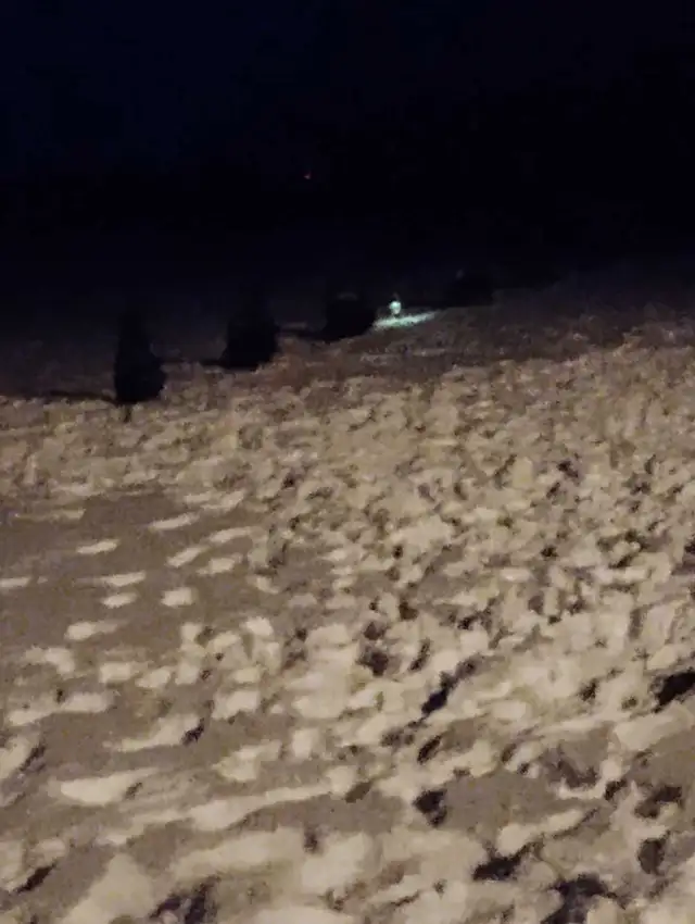 fresh farm eggs 64844384914050120