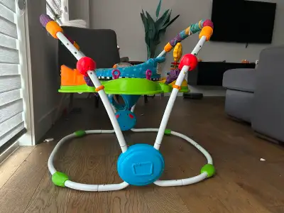 Baby Einstein Activity Jumper, View more