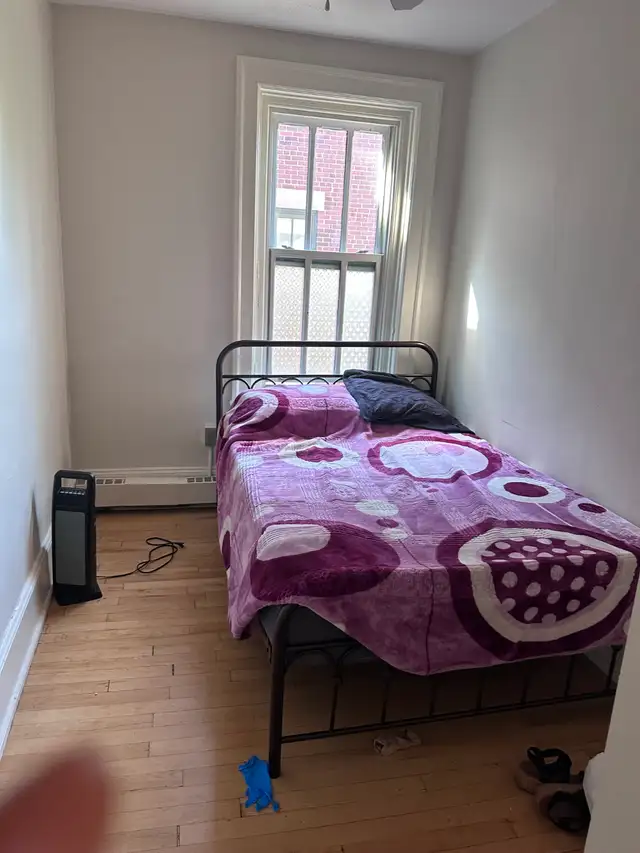 Renting a room(center town) in Room Rentals & Roommates in Ottawa - Image 2