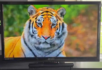 39" Full-HD 1080p LED FireTV, View more