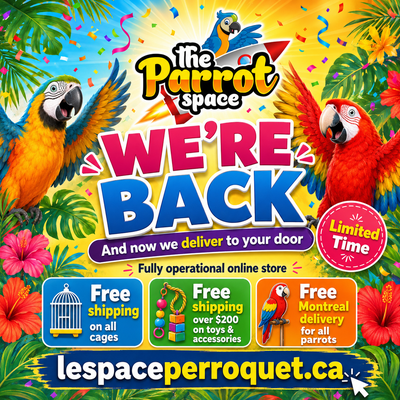 ⭐THE PARROT SPACE IS BACK!!⭐, View more