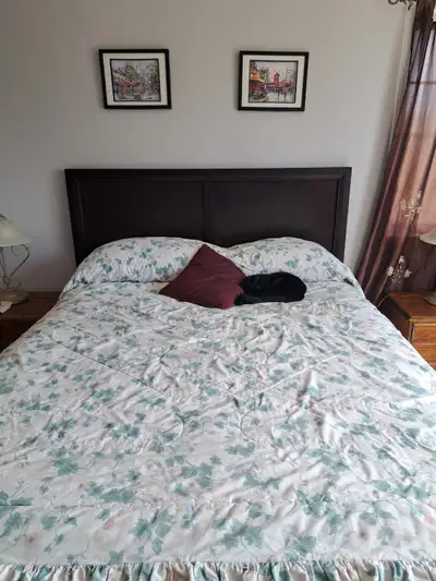 First and last months required. Rent is $700 plus $150 for utilities. Internet included. Looking for...