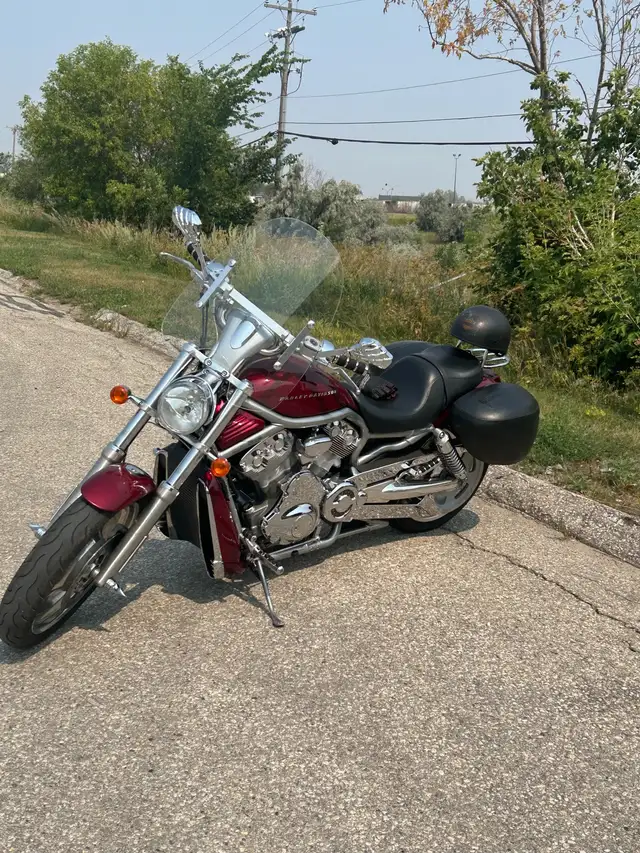 2004 VSRCA V-Rod in Street, Cruisers & Choppers in Winnipeg - Image 5