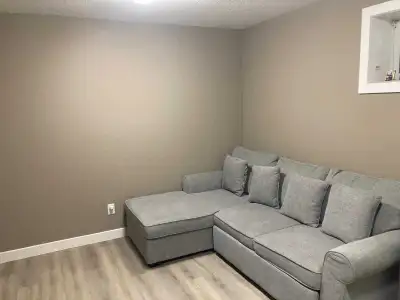 Well lit 3 bedroom basement with fully furnished with 2 beds and mattresses, sectional in living roo...