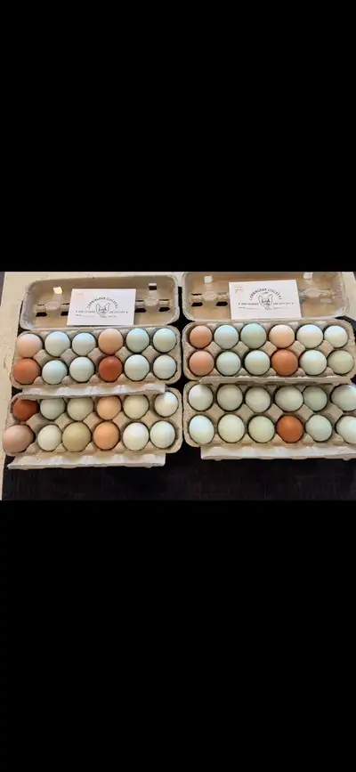Farm Fresh Eggs, View more
