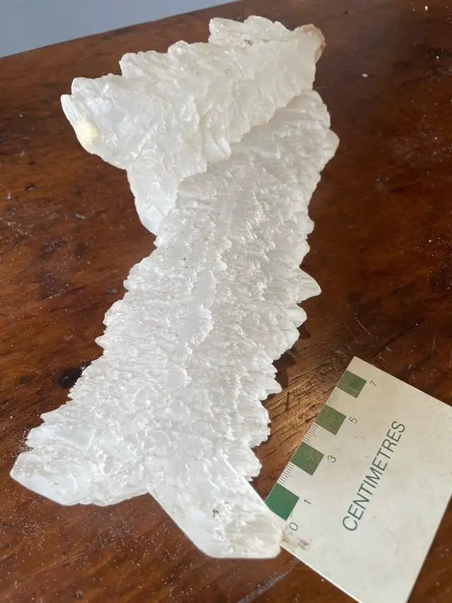 large fishtail selenite mineral specimen crystal in Hobbies & Crafts in Owen Sound - Image 3