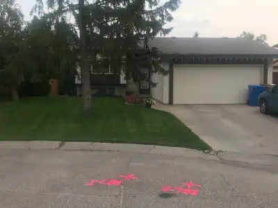 looking for roommate and renting out room
