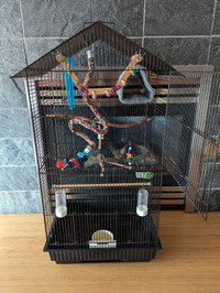 Bird cage