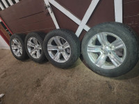 Complete  20" Dunlop winter tire pacakge 
