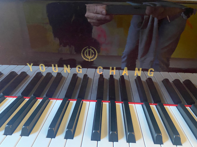 Piano a Queue Young Chang baby grand 5 pieds dans Pianos et claviers  à Ville de Montréal - Image 2