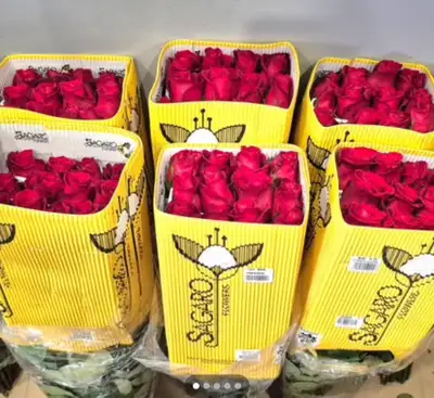 Roses  fresh, View more