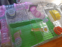 Cage hamster / souris