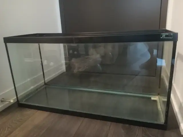 35 Gallon Tank For Sale in Other in Hamilton - Image 4