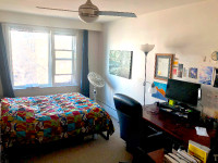 Male Summer Room Sublet in Toronto