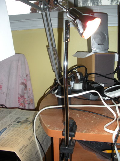 Halogen Lamp 60W, View more