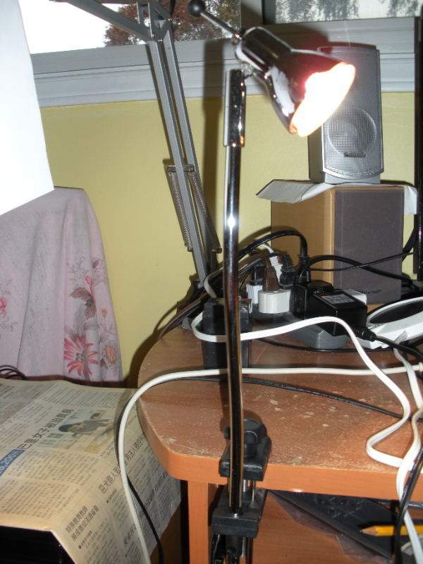 Halogen Lamp 60W in Other in Oakville / Halton Region - Image 2