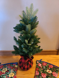 Christmas Tree & stockings