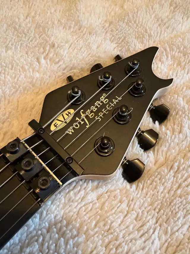 EVH Stealth Special with Hardshell guitar case64645239317889121