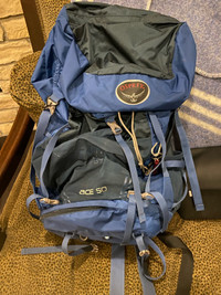 Osprey Ace 50 backpack 