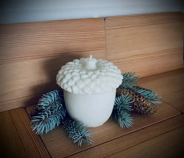 Homemade Soy Wax Candles