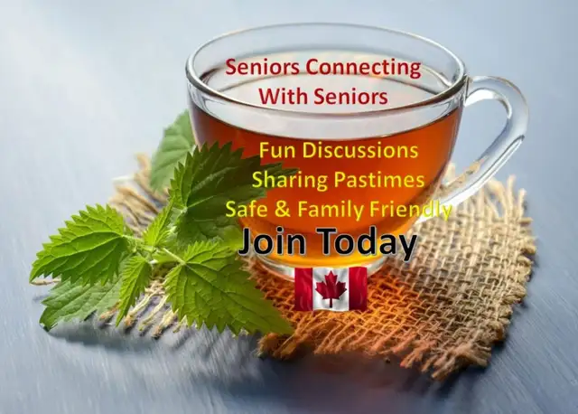 Join Facebook Seniors 60 + Public Group542524706747197441