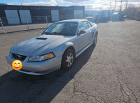 2000 ford mustang 