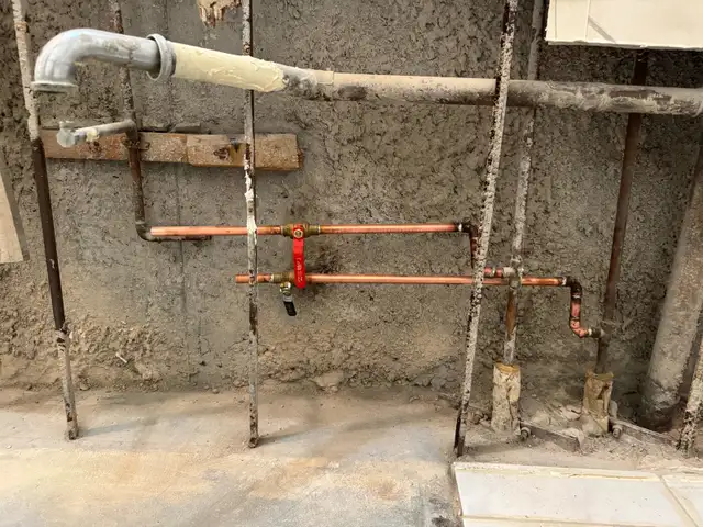 licensed plumber 403495733817528322