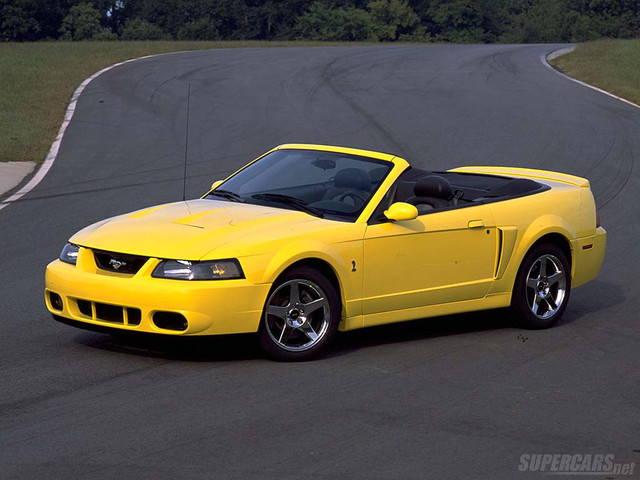 WTB 2003 or 2004 Ford Mustang Terminator Mustang in Cars & Trucks in Mississauga / Peel Region