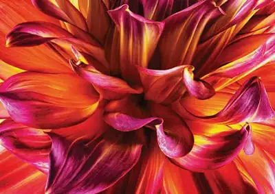 I am looking for extra work., View more