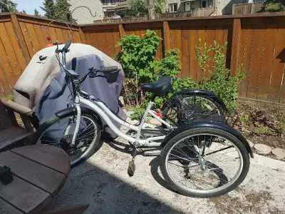 24" Adult E-Tricycle / E-Trike, View more