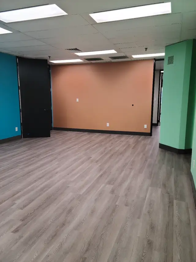Professional and affordable painter62863725581825121