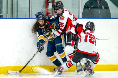 Sports Photography is my life! Sports / Action Photographer with 35 years of action including NHL, N...