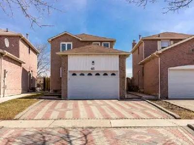 Newly finished 2 bed 1 bath basement bright & sunny Hurontario