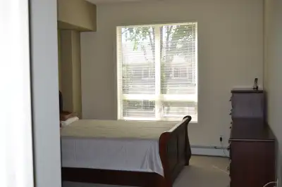 Beautiful 2 Bedroom Apartment in Holland Gardens