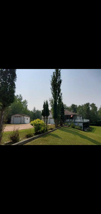 For Sale Private Country Acreage Walkout Bungalow Lac La Biche